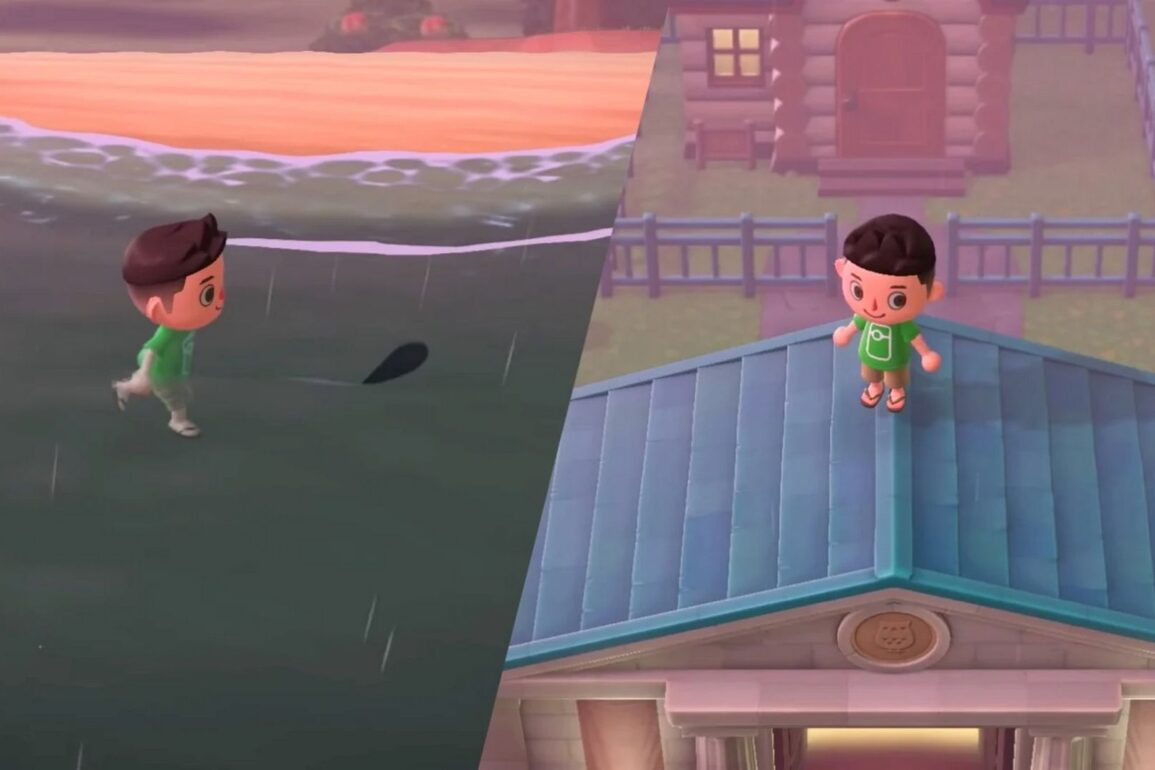 animal crossing new horizons glitch