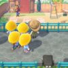 animal crossing new horizons zoo